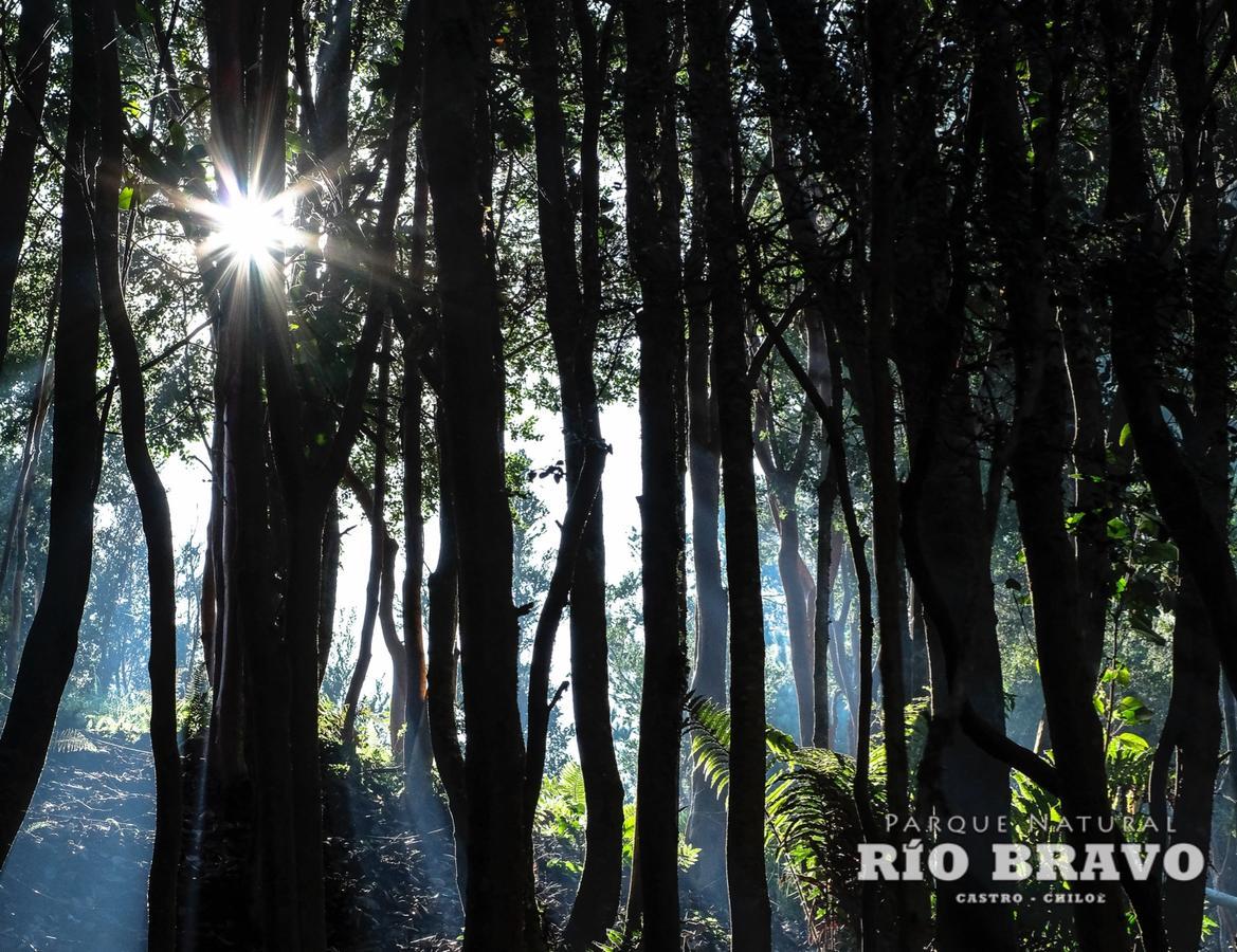 Parque Natural Rio Bravo Lodge Castro Buitenkant foto