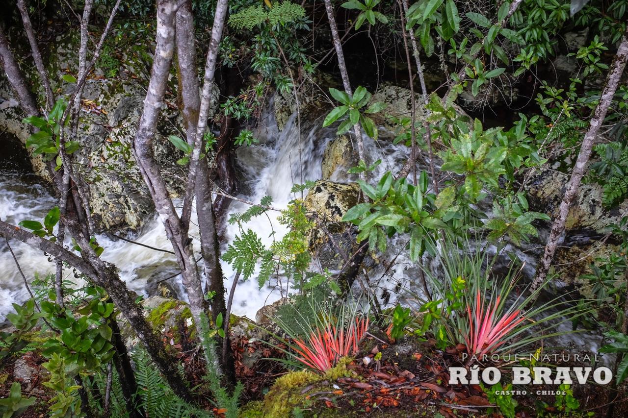 Parque Natural Rio Bravo Lodge Castro Buitenkant foto