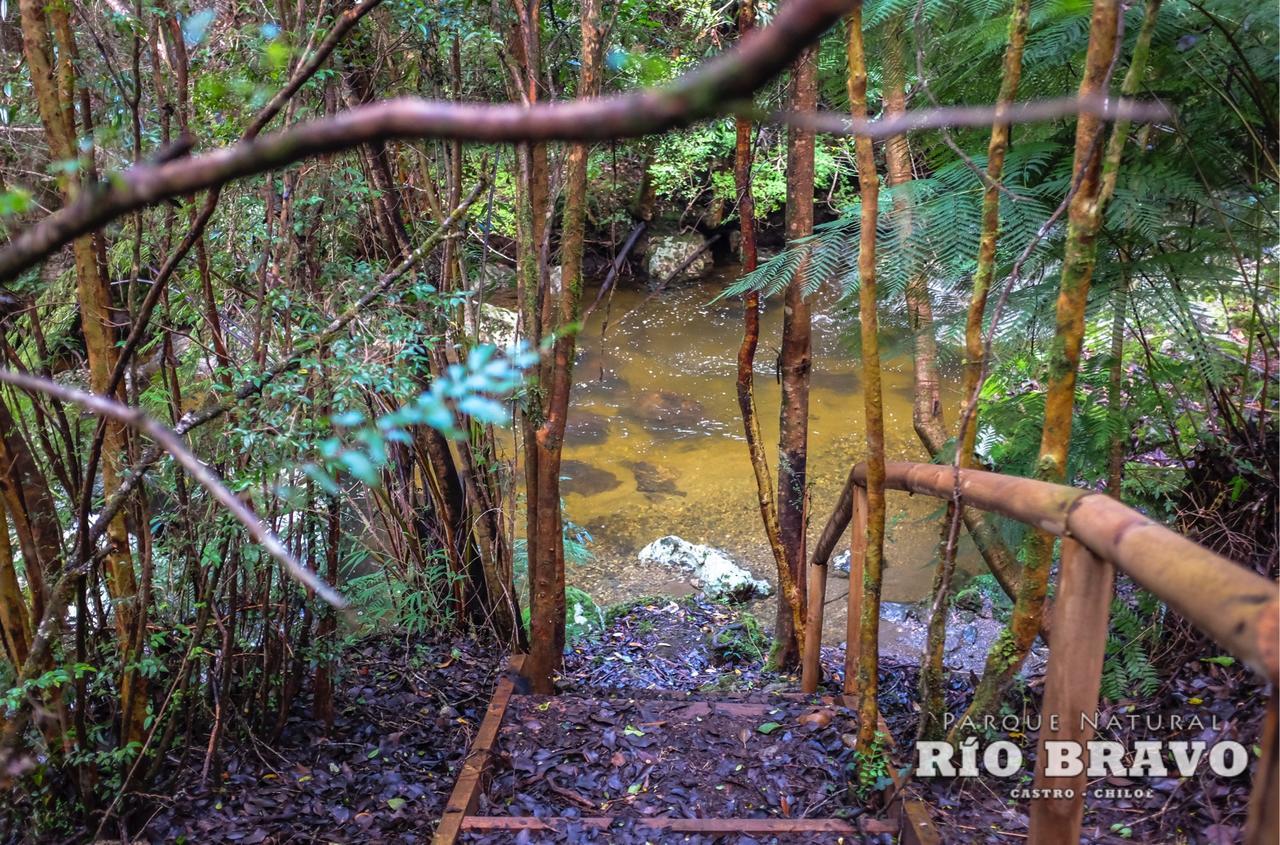 Parque Natural Rio Bravo Lodge Castro Buitenkant foto