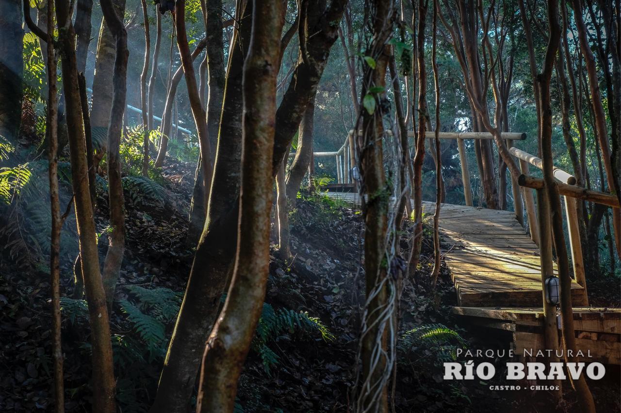 Parque Natural Rio Bravo Lodge Castro Buitenkant foto