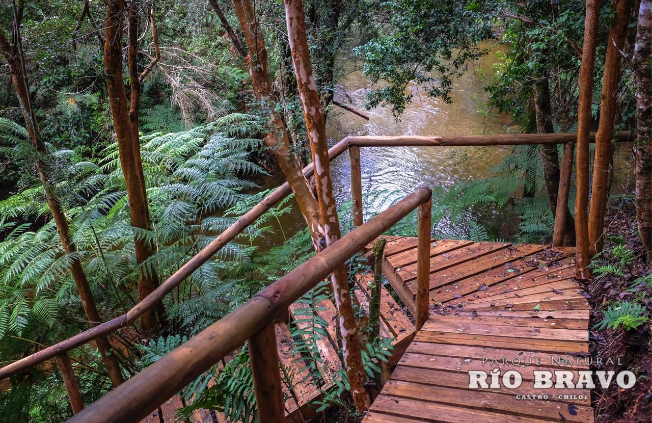 Parque Natural Rio Bravo Lodge Castro Buitenkant foto
