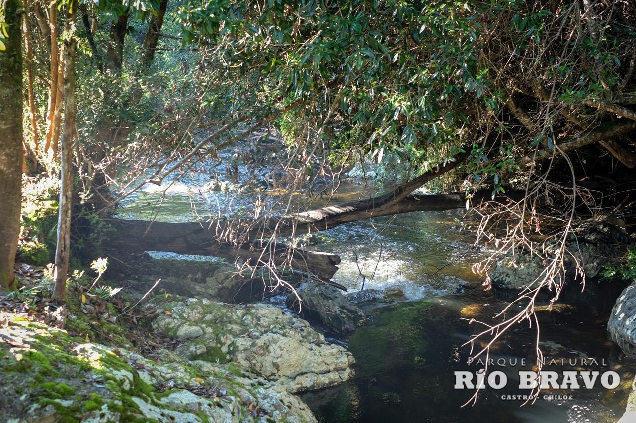 Parque Natural Rio Bravo Lodge Castro Buitenkant foto